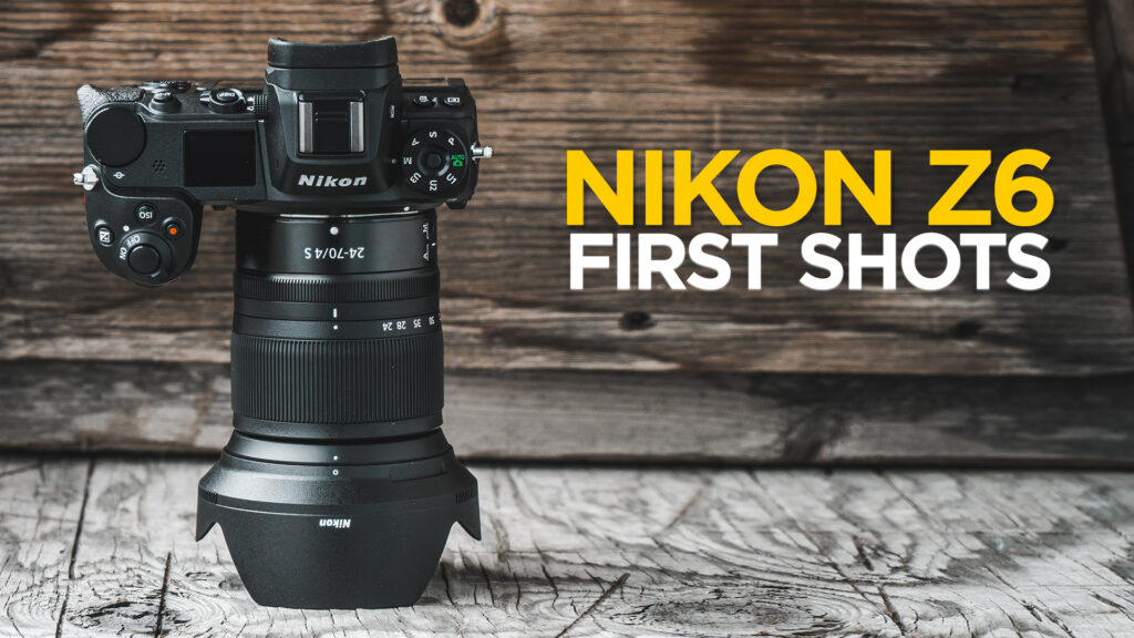 My First Shots with the Nikon Z6 Mirrorless Camera